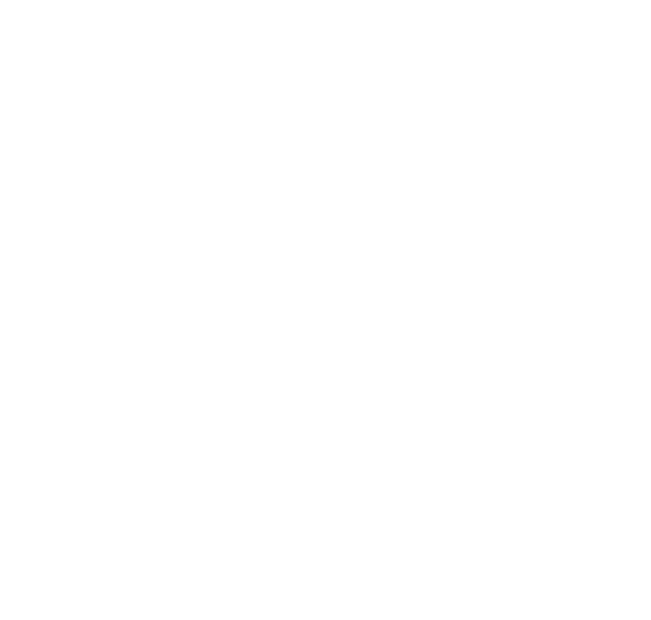 logo light big